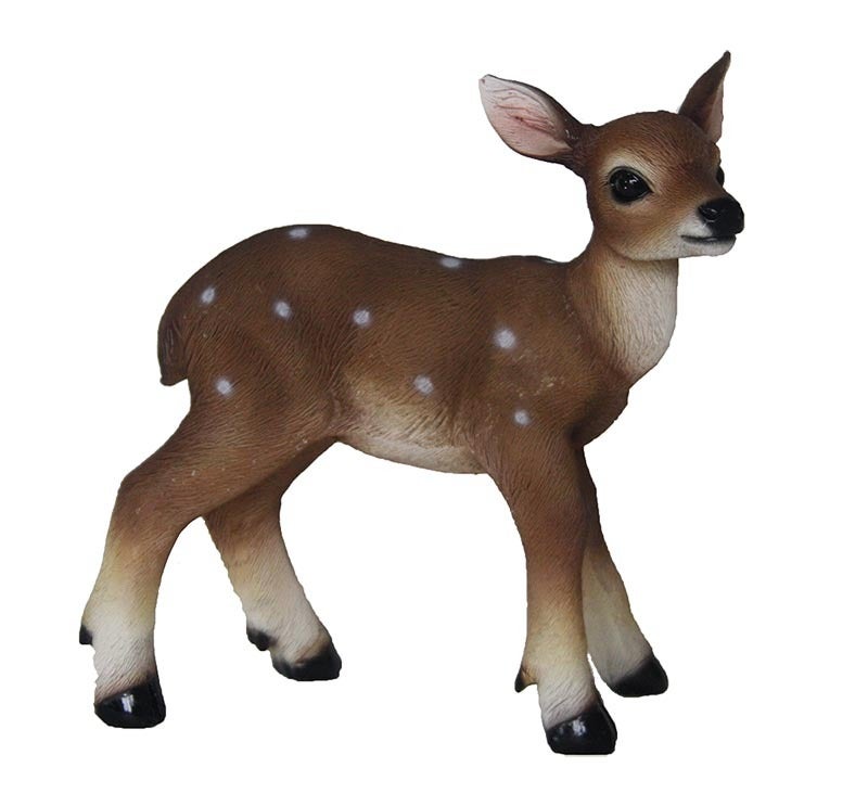 Fawn
