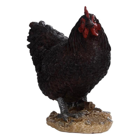 Standing Hen