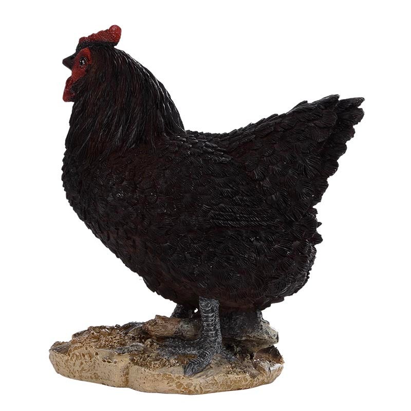 Standing Hen