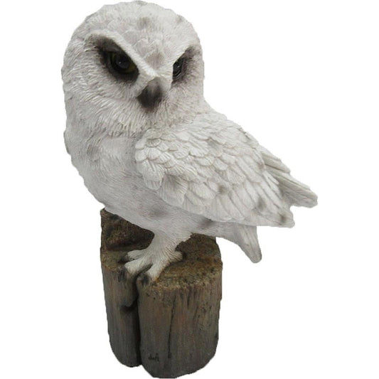 Hibou sur le tronc S