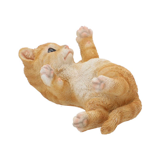 Chat jouant allongé