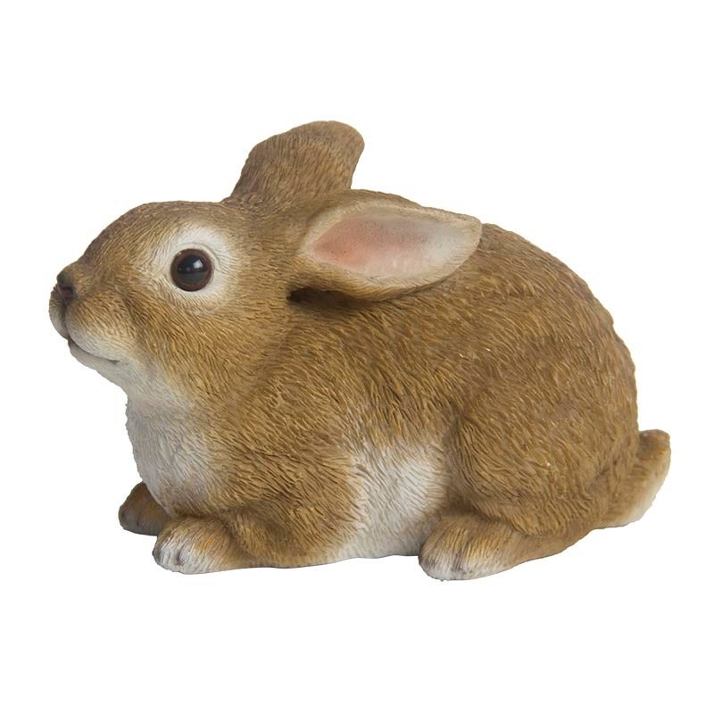 Lapin Couché M