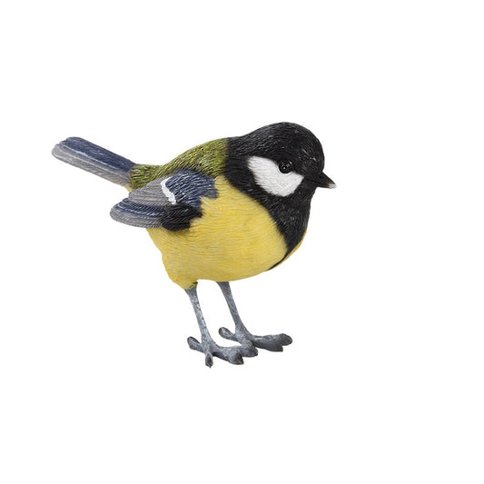 Mésange charbonnière