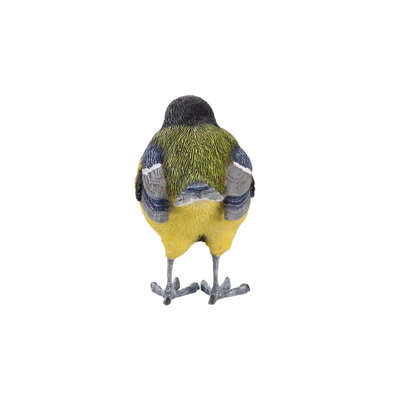 Great Tit