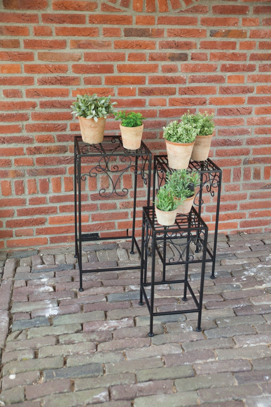 Plants Tables Set of 3