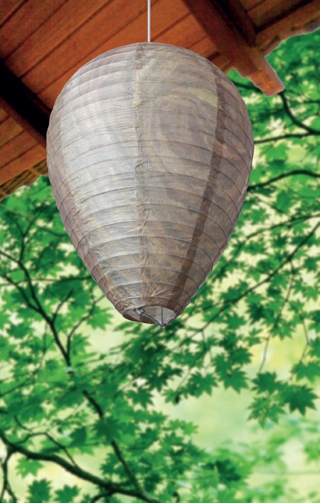 Effaroucheur de guêpes
