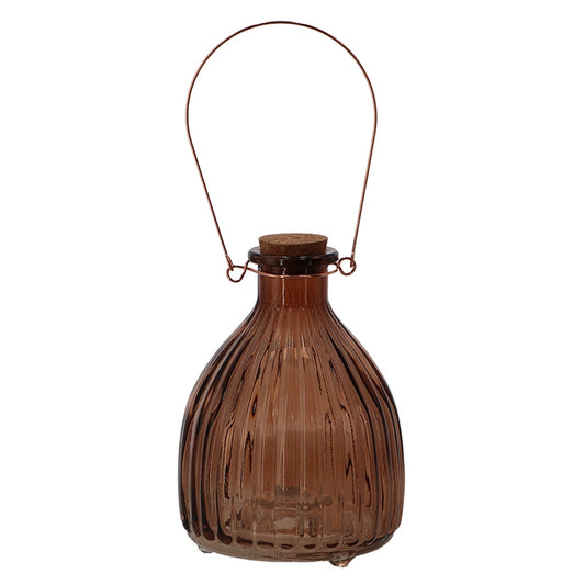 Wasp Trap Ribbed ~ Assorted