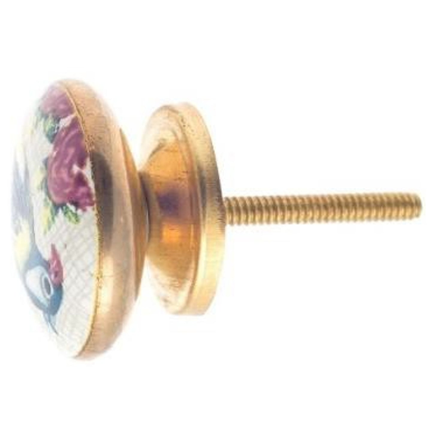 Ceramic Knob, Parrot