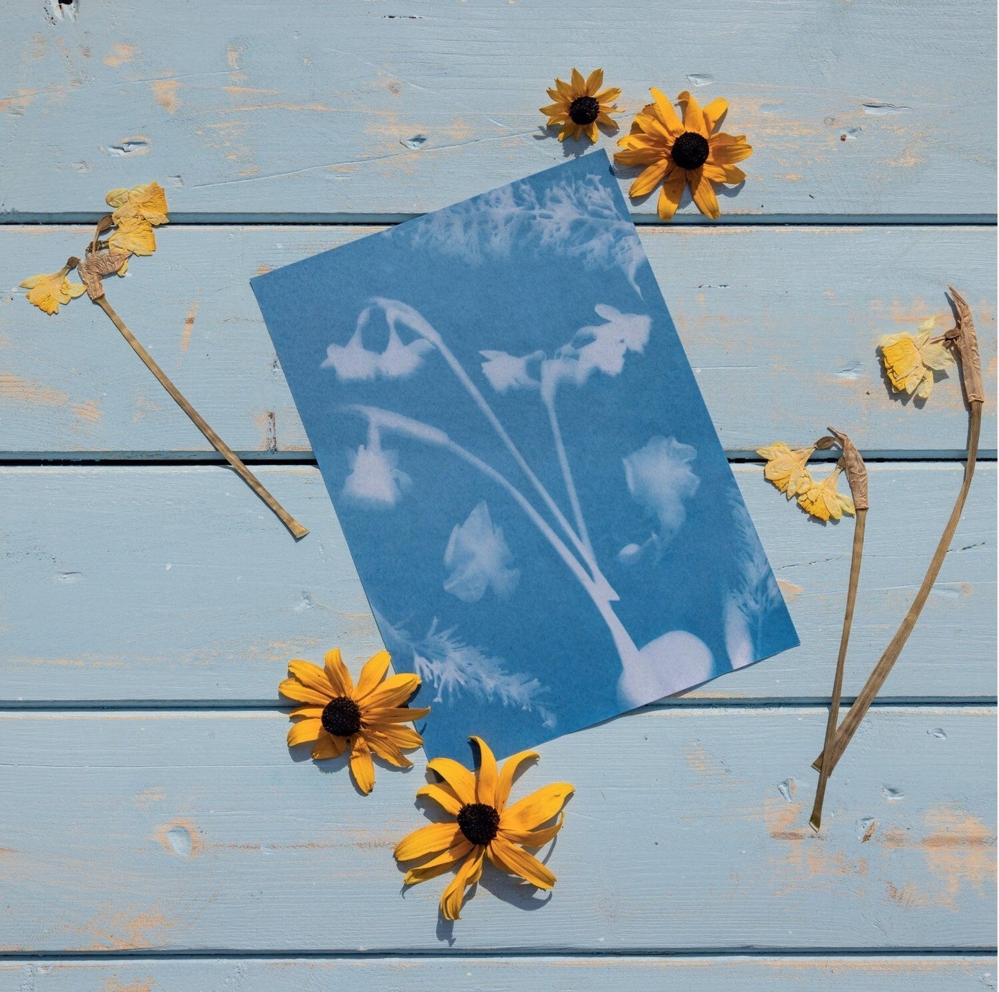 Papier Photo Solaire A5 Set/12