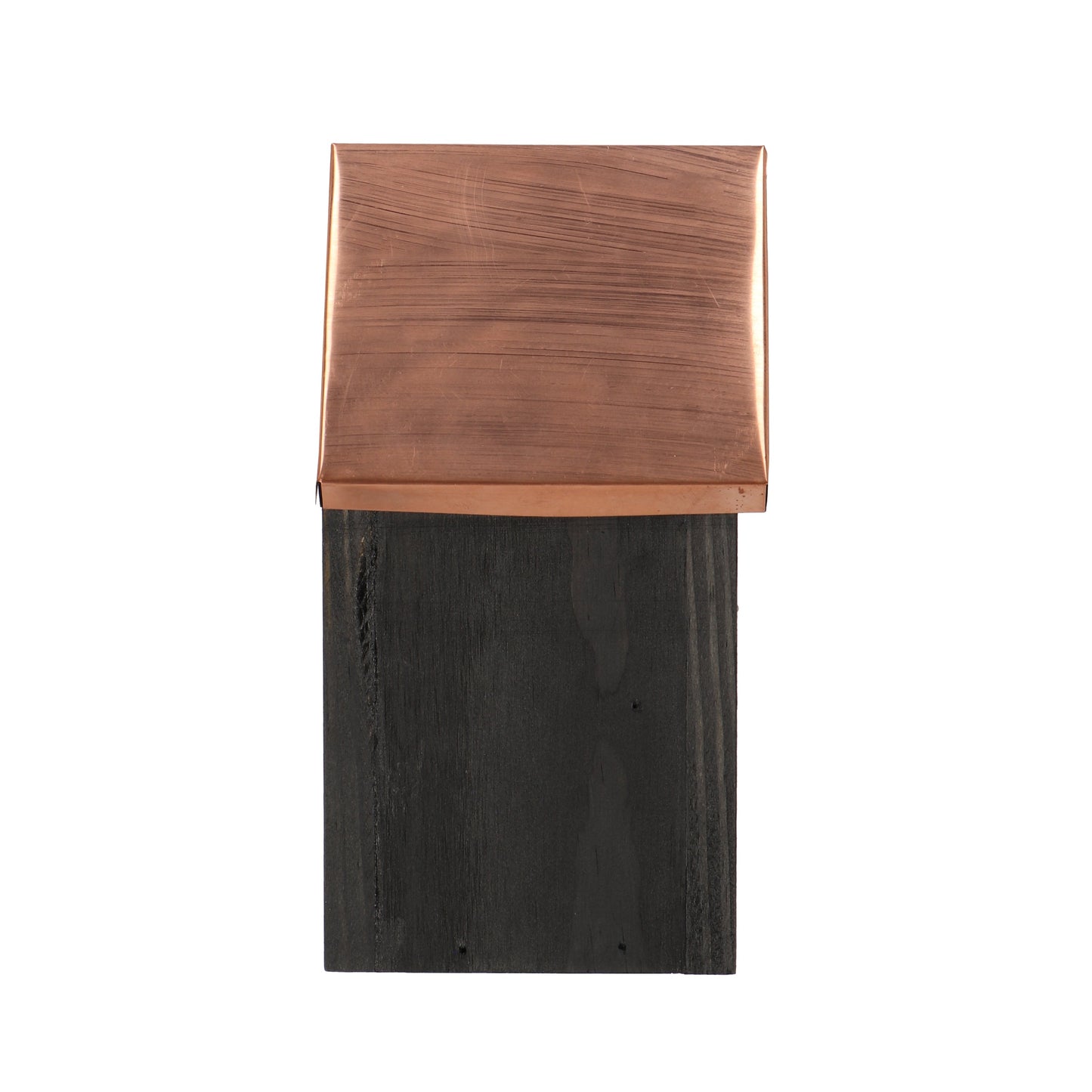 Bird House Black Copper Winter Wren
