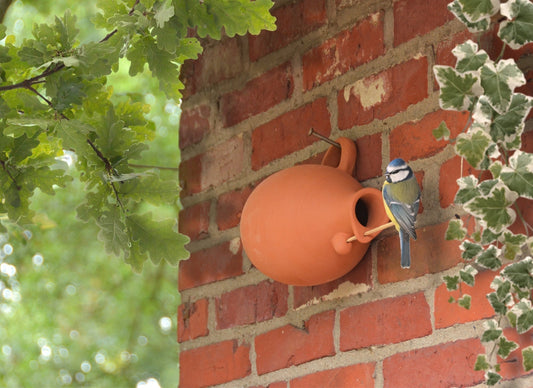 Bird Nesting Bottle Tits/Sparrows (NK11)