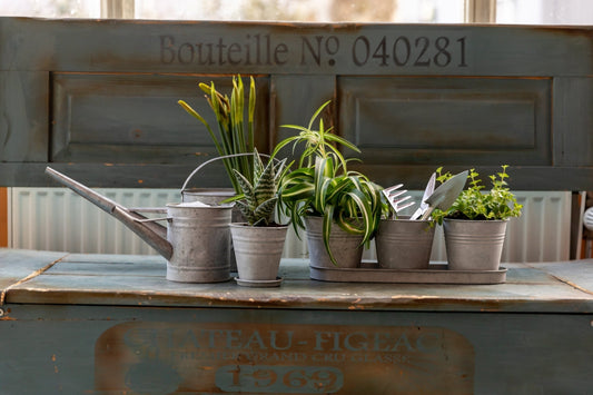 Ancien Zinc 3 Pots Sur Une Sauce