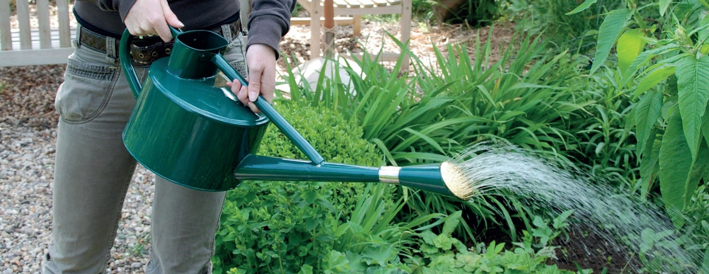 Arrosoir Vert 5L