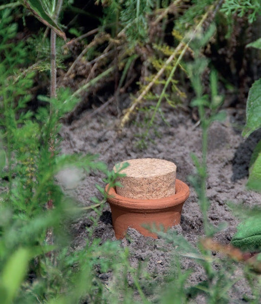 Olla Underground Watering Bottle, Large