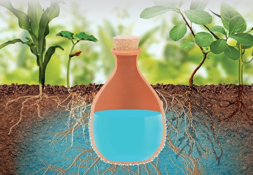 Olla Underground Watering Bottle, Large