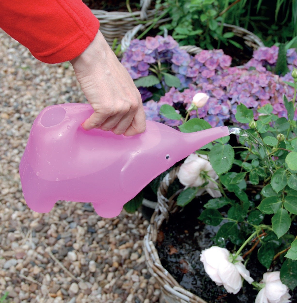 Watering Can Elephant ~ Assorted