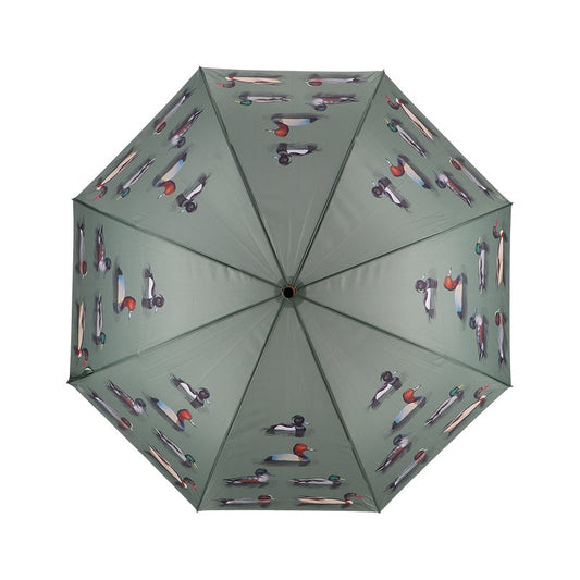 Umbrella Duck Breeds