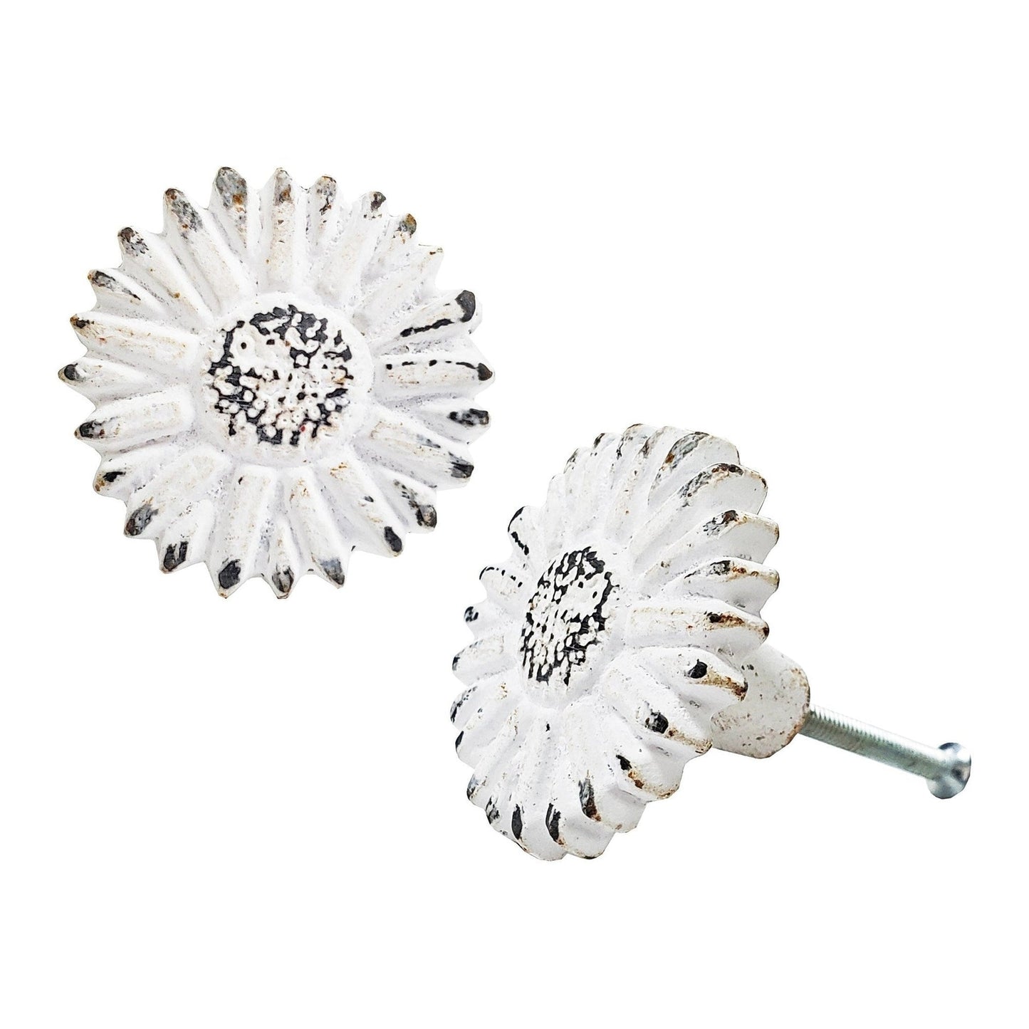 Bouton fleur de soleil vieilli WT