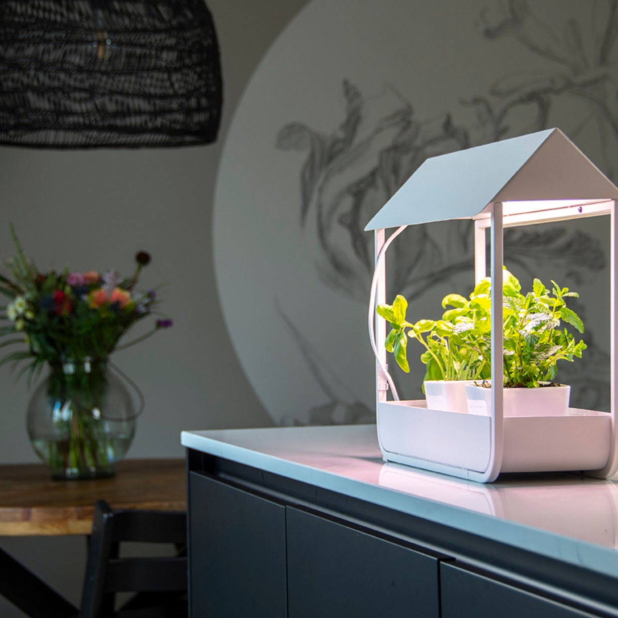 Plant Grow Lamp Greenhouse White