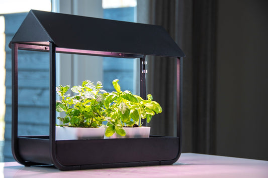 Lampe de culture de plantes à effet de serre noire