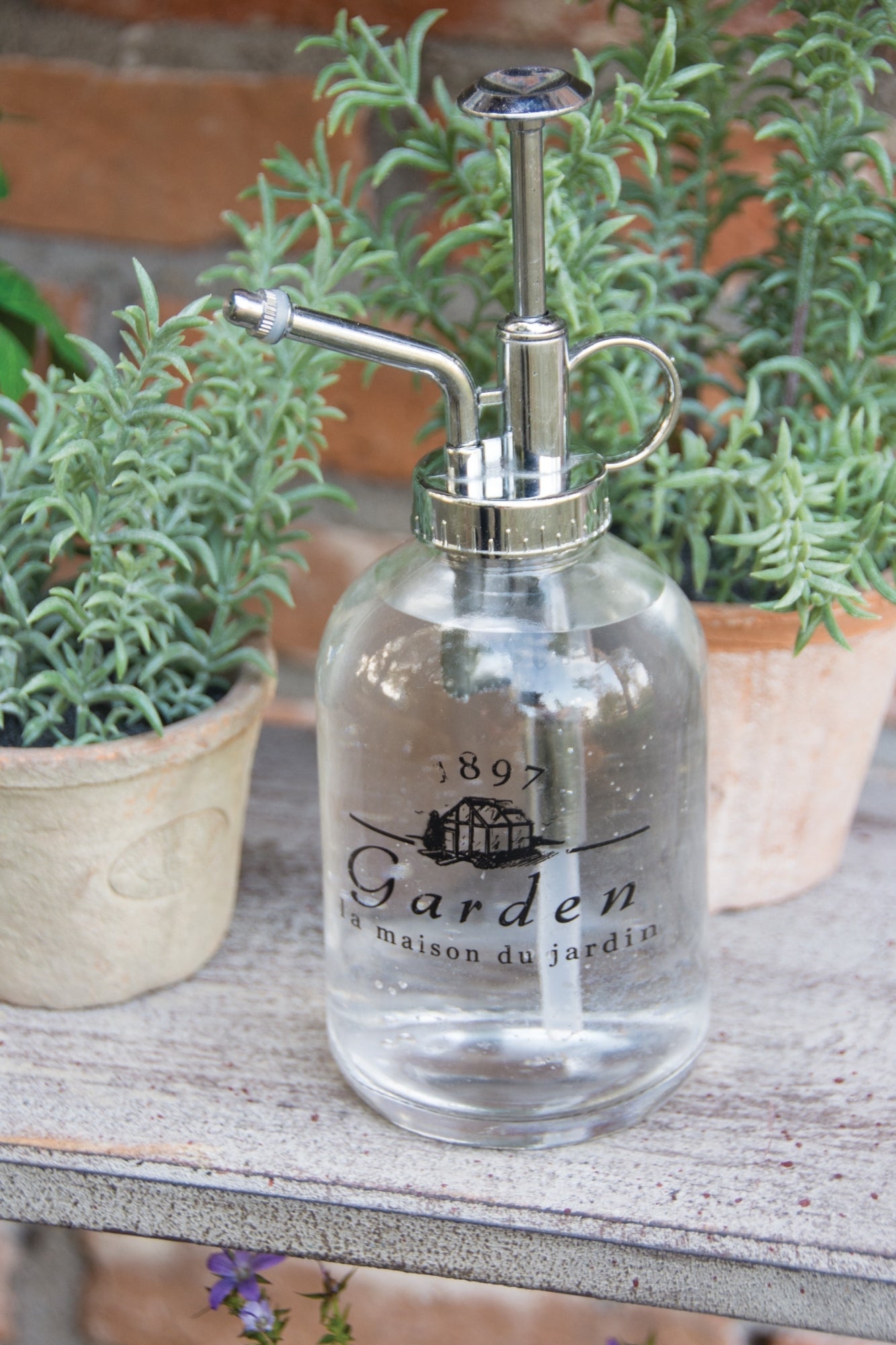 Garden Plant Mister Vaporisateur - Petit vaporisateur pour plantes - Assortiment