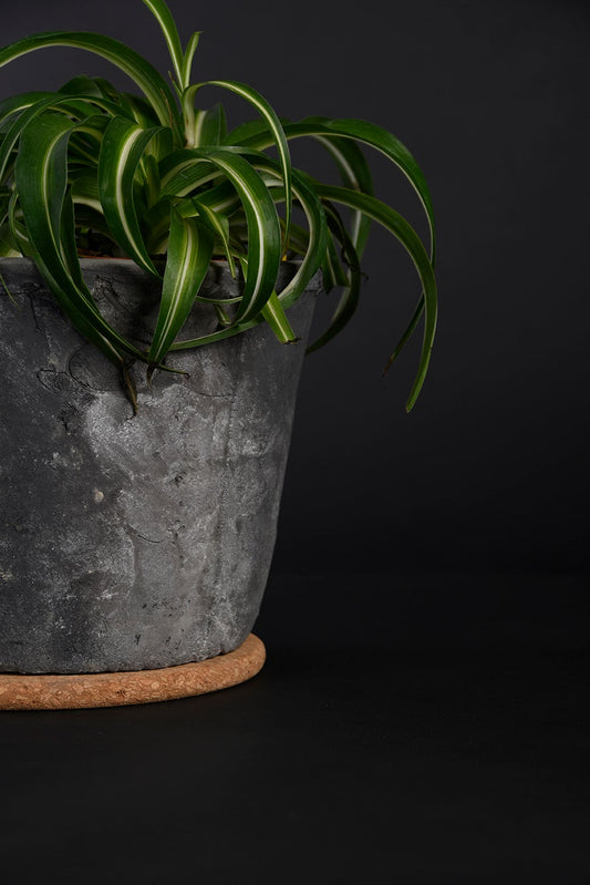 Soucoupe en liège M