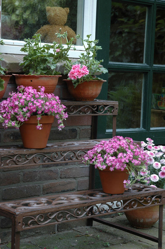 Etagère Rectangulaire