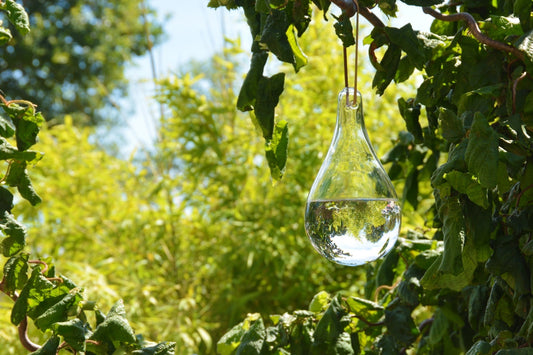 Fly Repellent (EG26)