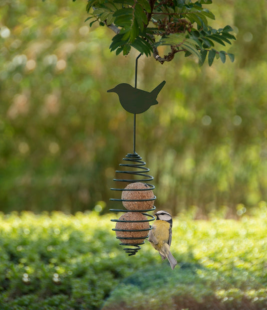 « Birdspring Ass., sans nourriture pour oiseaux »