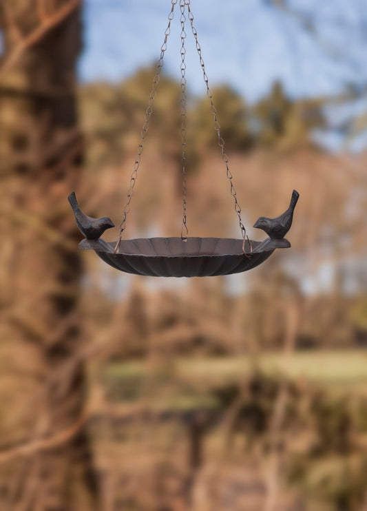 Bain D'oiseau Suspendu Avec 2 Oiseaux