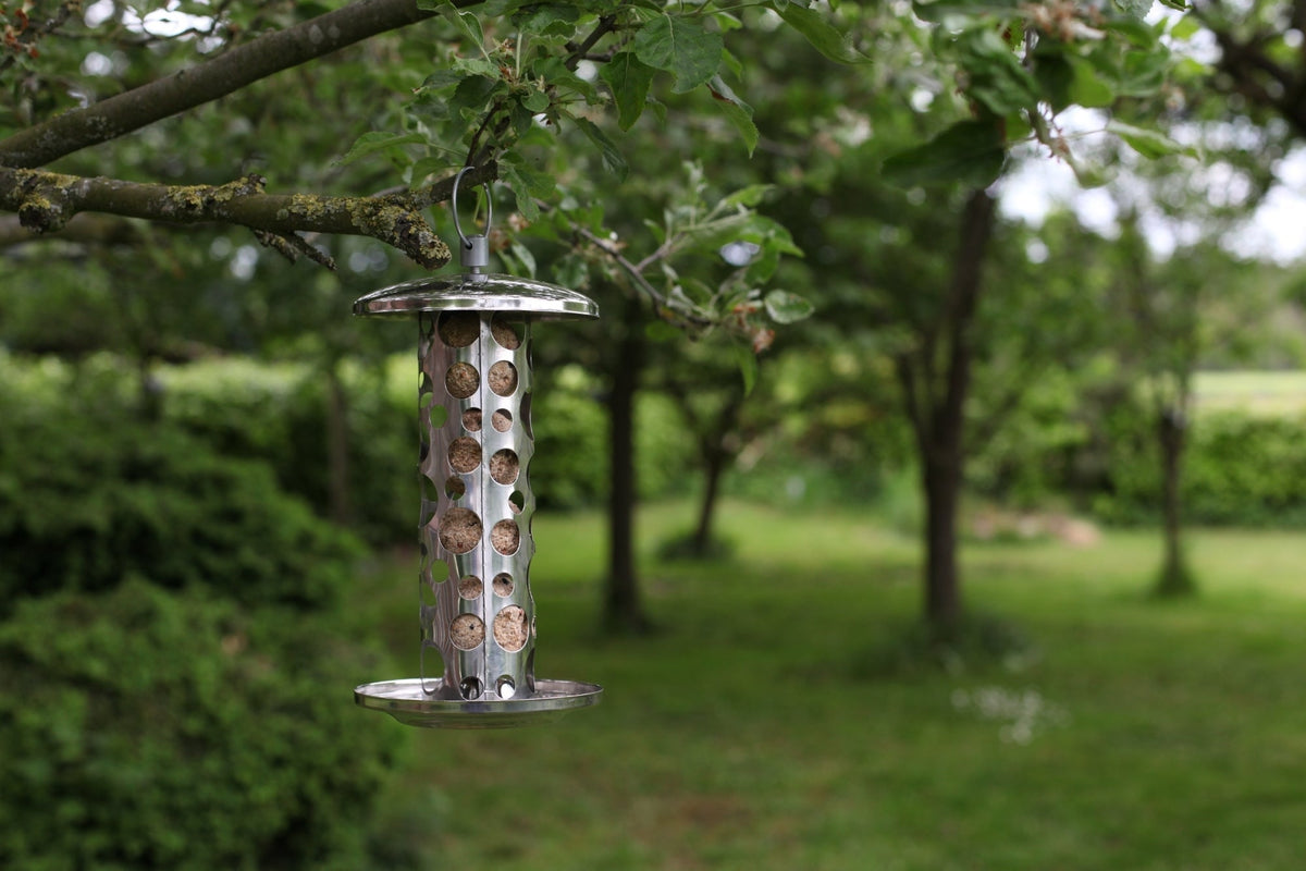 "Distributeur de Suetball en Acier Inoxydable, Sauf Nourriture pour Oiseaux"