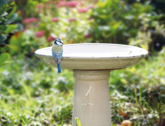 Bird Bath Cream On Foot