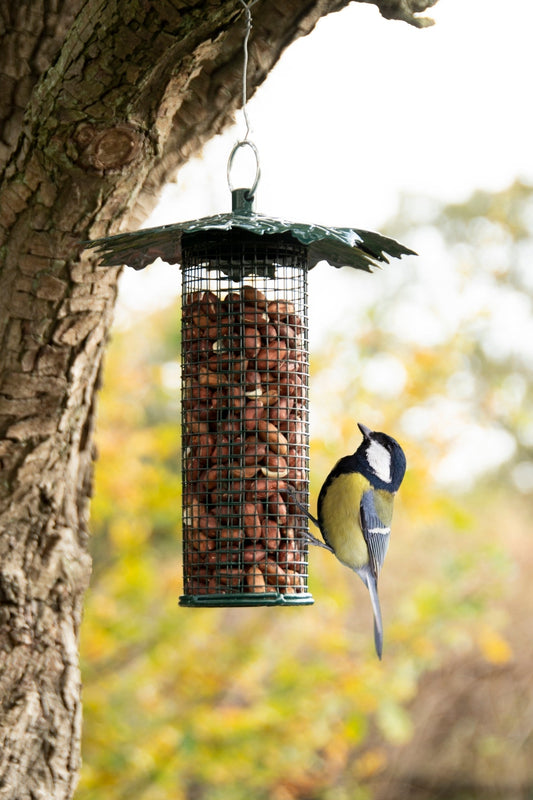 Nut Feeder With Leaf Roof