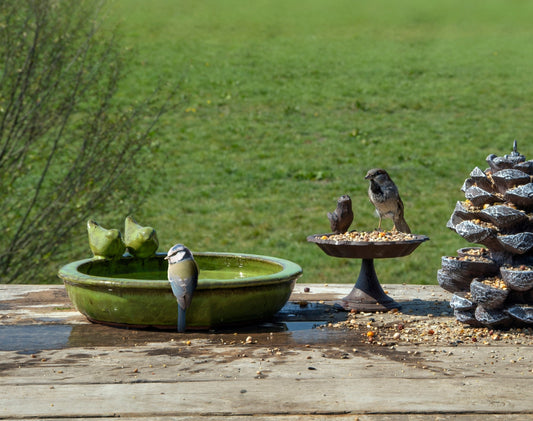 Green Round Bird Bath