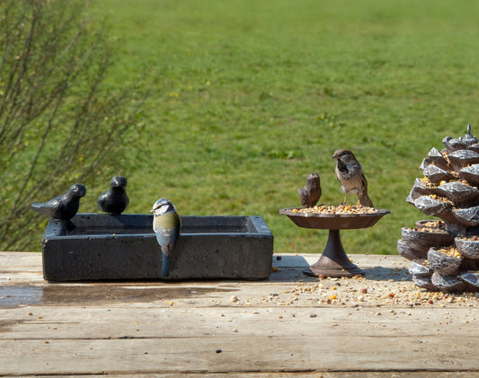 Square Terrazzo Bird Bath