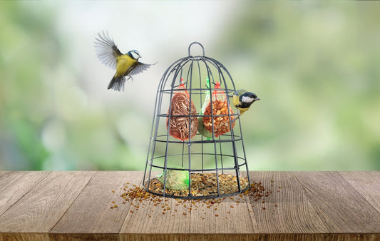 Cage à nourriture pour oiseaux, y compris la nourriture pour oiseaux