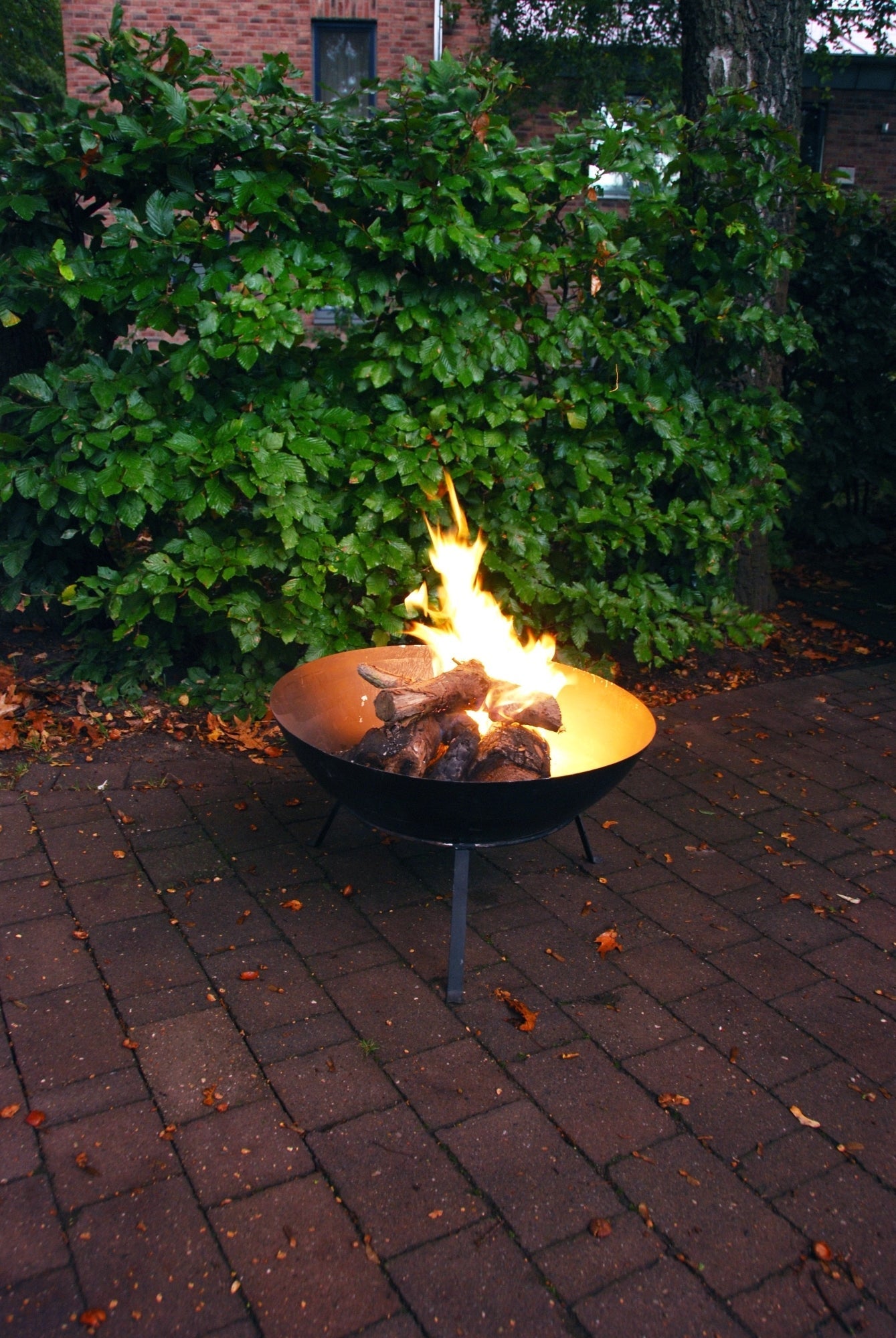 Bol à feu