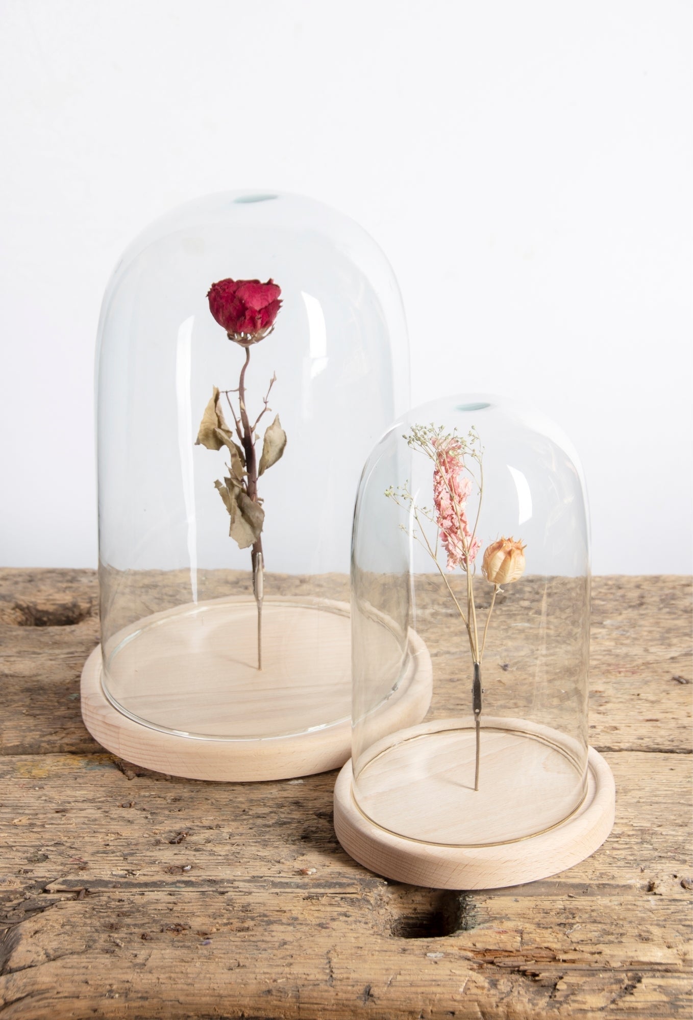 Cloche En Verre Sur Socle En Bois L