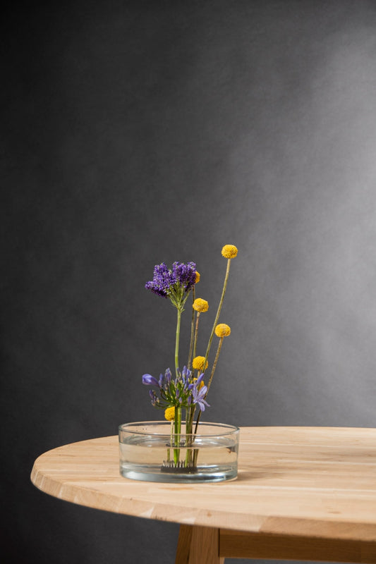 "Kenzan S, 50 % de réduction"