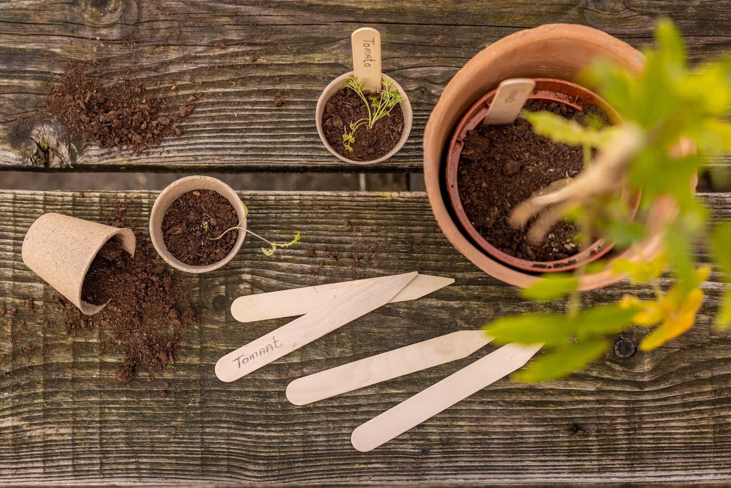 Étiquettes pour plantes en bois 40 pièces L