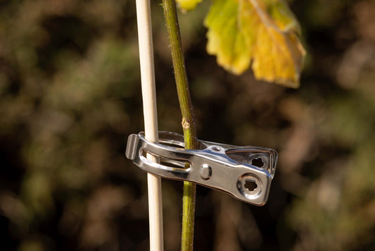 Lot de 12 pinces à plantes en métal