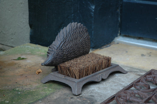 Hérisson gratte-bottes