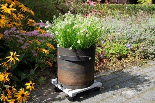 Chariot à Plantes Carré L
