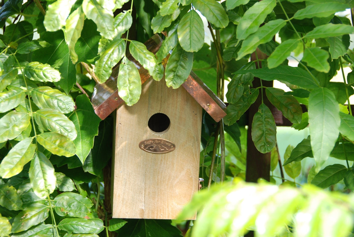 Nichoir Wren Cuivre Toit
