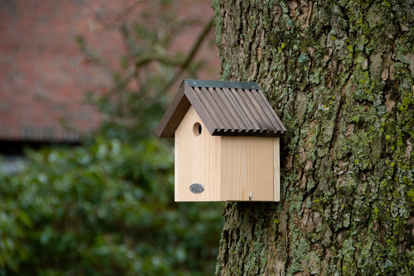 Blue Tit Bird House