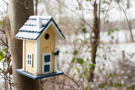 Bird Villa's ~ Assorted