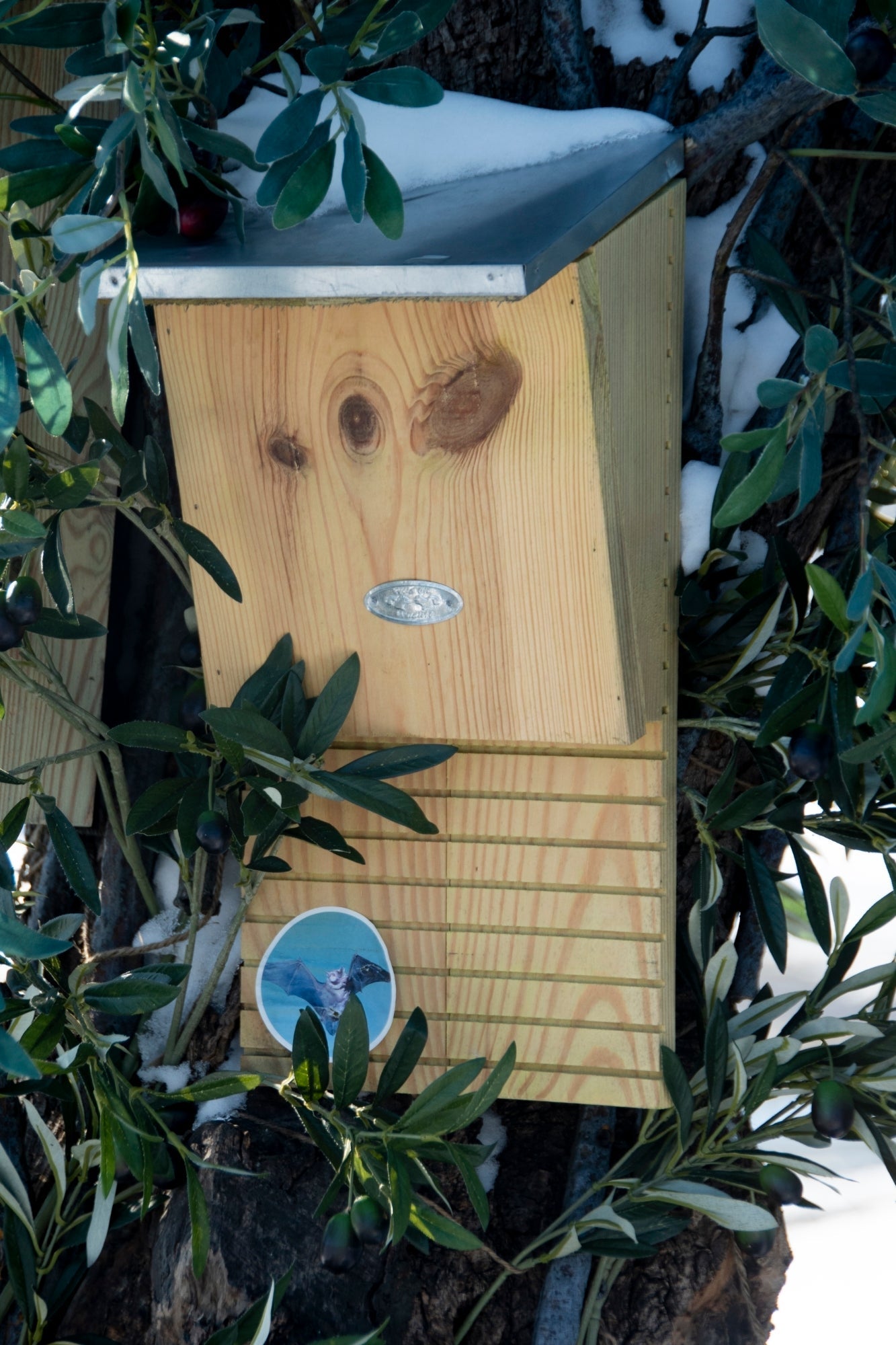 Boîte à chauve-souris