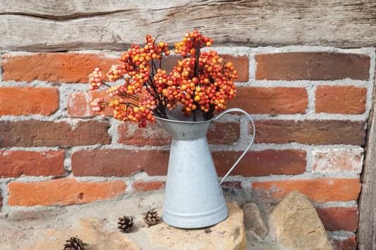 Ancienne Boîte à Bouche De Canard En Zinc