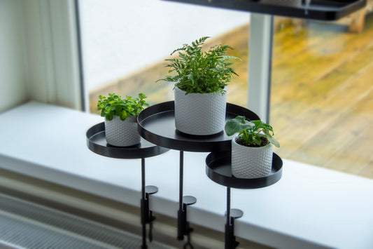 "Plateaux Ronds à Pince S, 2 Ass. Couleur: Noir & Blanc"