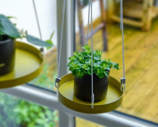 Plateau Suspendu Rond Fenêtre Dorée S